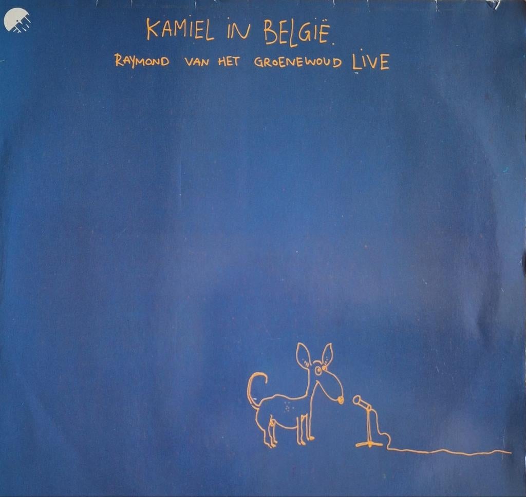 Vinyl 2 elpees RAYMOND VAN HET GROENEWOUD, Cd's en Dvd's, Vinyl | Nederlandstalig, Ophalen