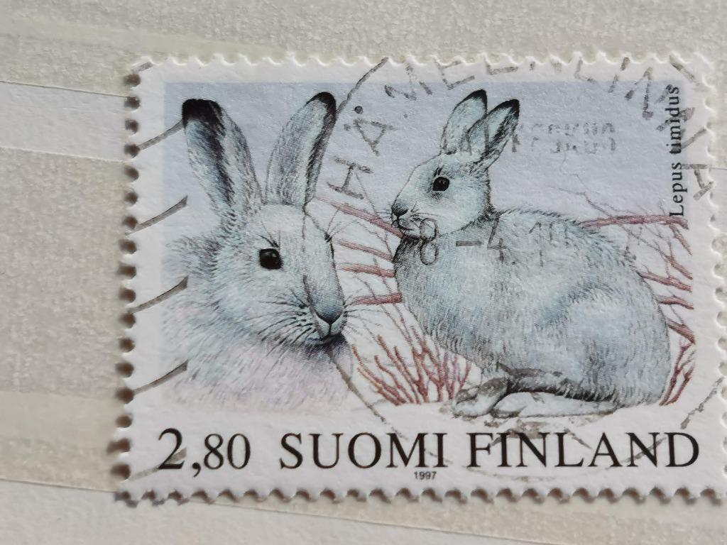 Finland 1997 - sneeuwhazen, Ophalen of Verzenden, Gestempeld, Dier of Natuur