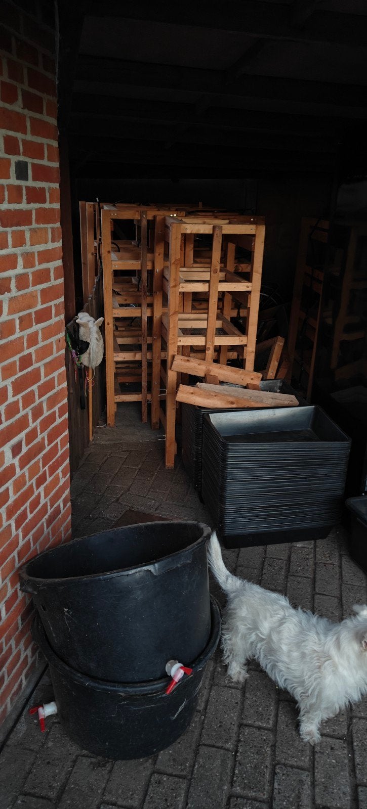 Kweek racks voeder dieren/knaagdieren., Animaux & Accessoires, Reptiles & Amphibiens, Autres espèces