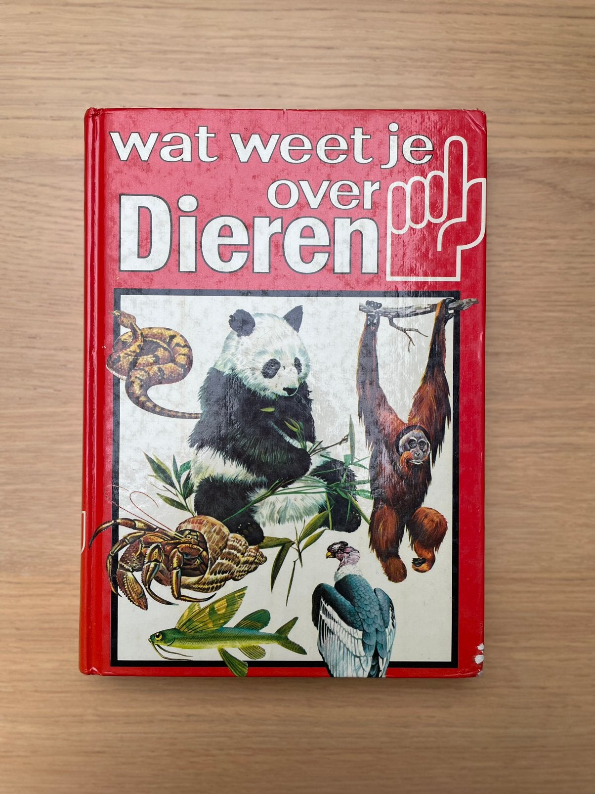Encyclopedie - Wat weet je over dieren, Livres, Encyclopédies, Enlèvement ou Envoi, Utilisé, Animaux, Ian Jackson