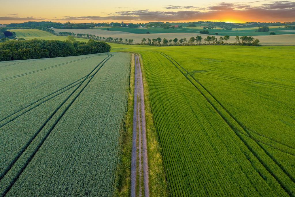 Landbouwgrond te huur seizoenpacht gezocht, Enlèvement
