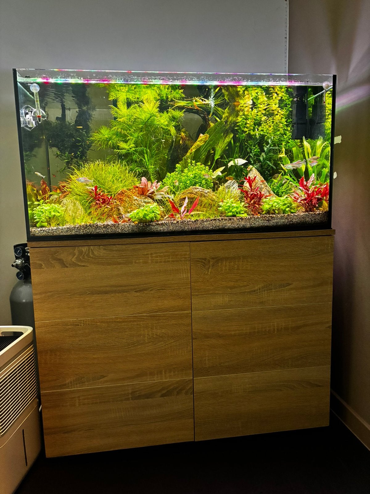 Aquarium met meubel, Ophalen, Aquariummeubel, Zo goed als nieuw, Inclusief deksel