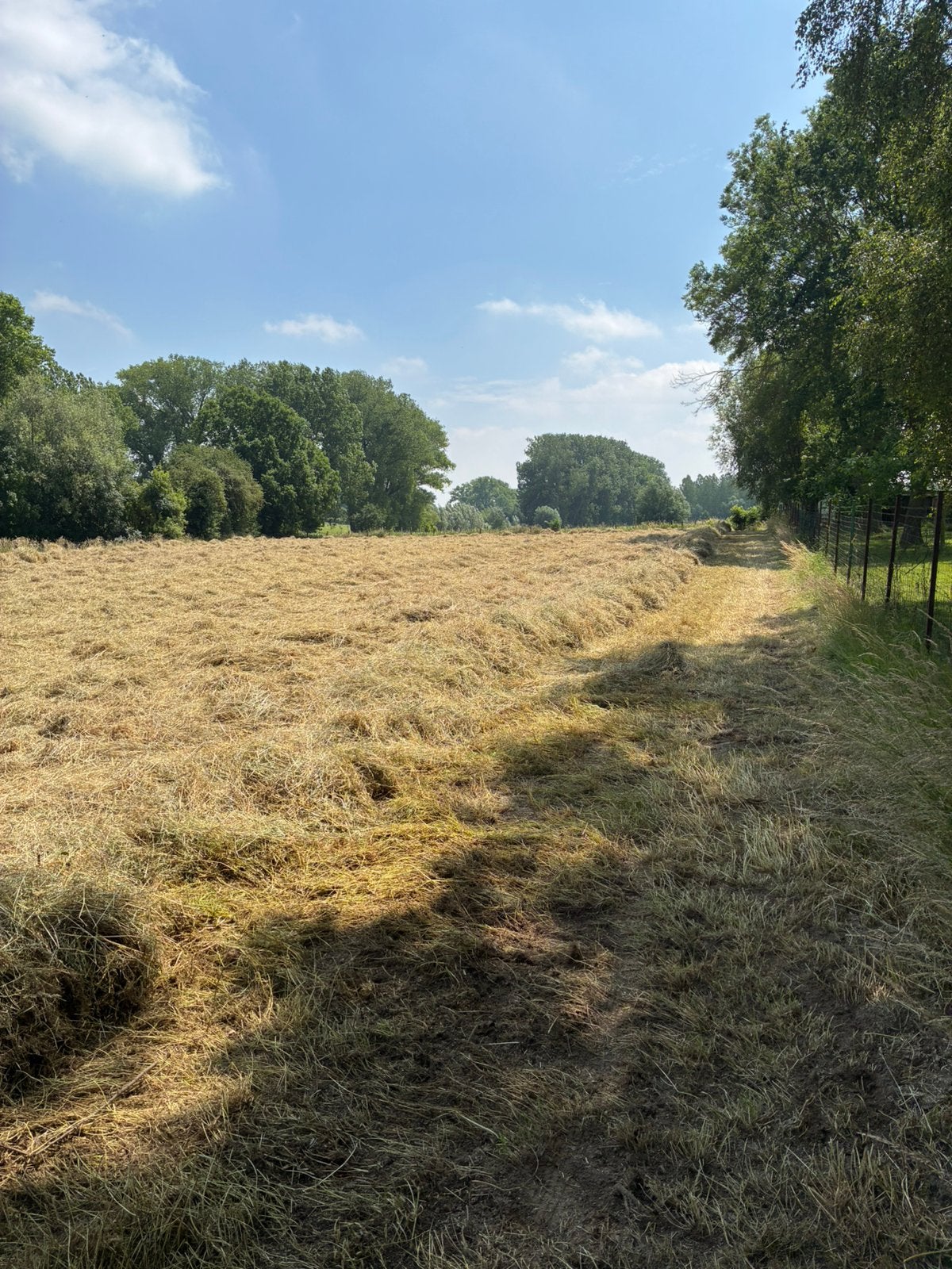 Kleine baaltjes hooi te koop