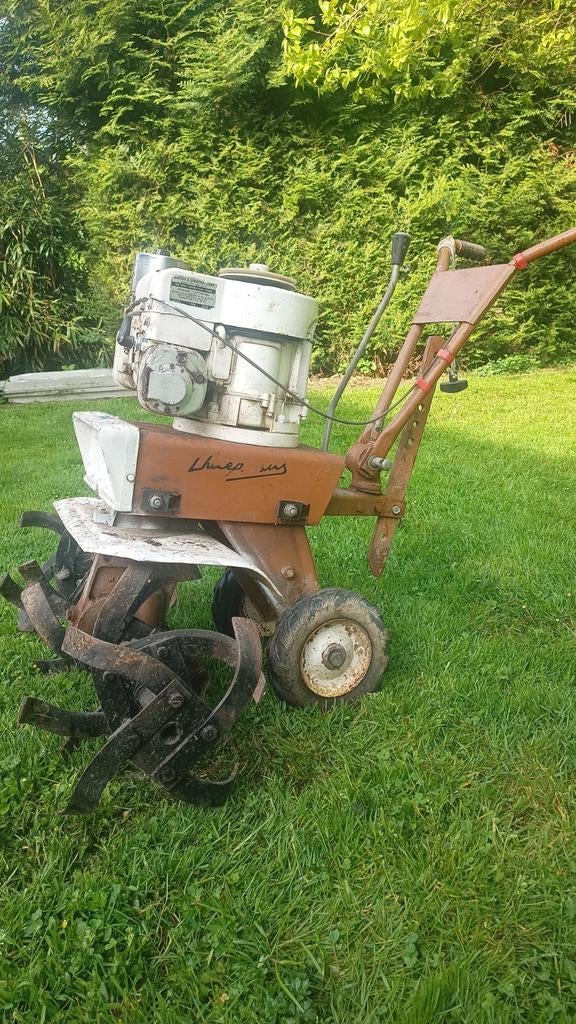Tuin, frees, Dieren en Toebehoren