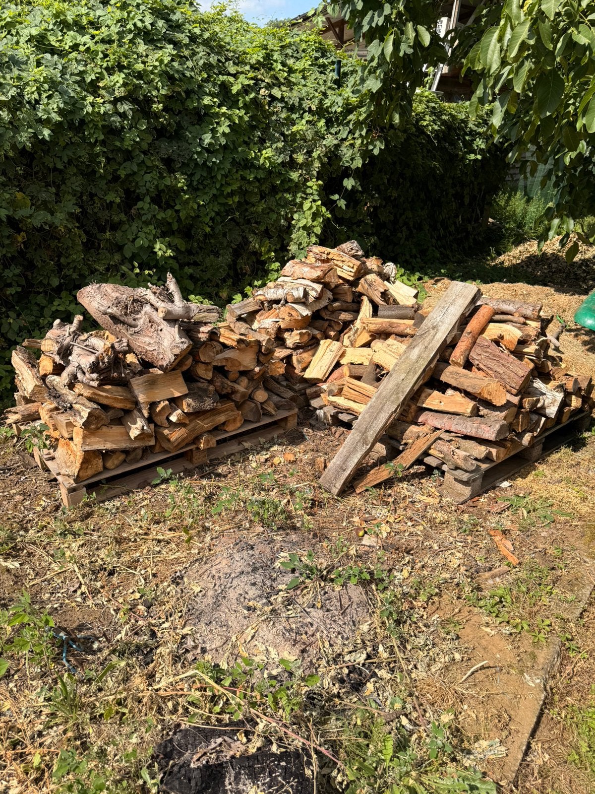 +\- 2m3 brandhout tuin, Tuin en Terras, Minder dan 3 m³, Ophalen, Overige houtsoorten, Blokken