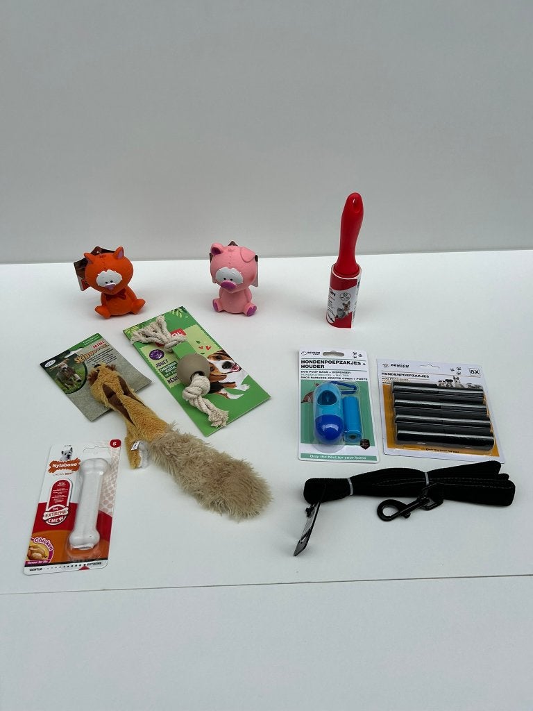 Set voor Hond Klein, Ophalen of Verzenden, Nieuw, Hondenspeelgoed