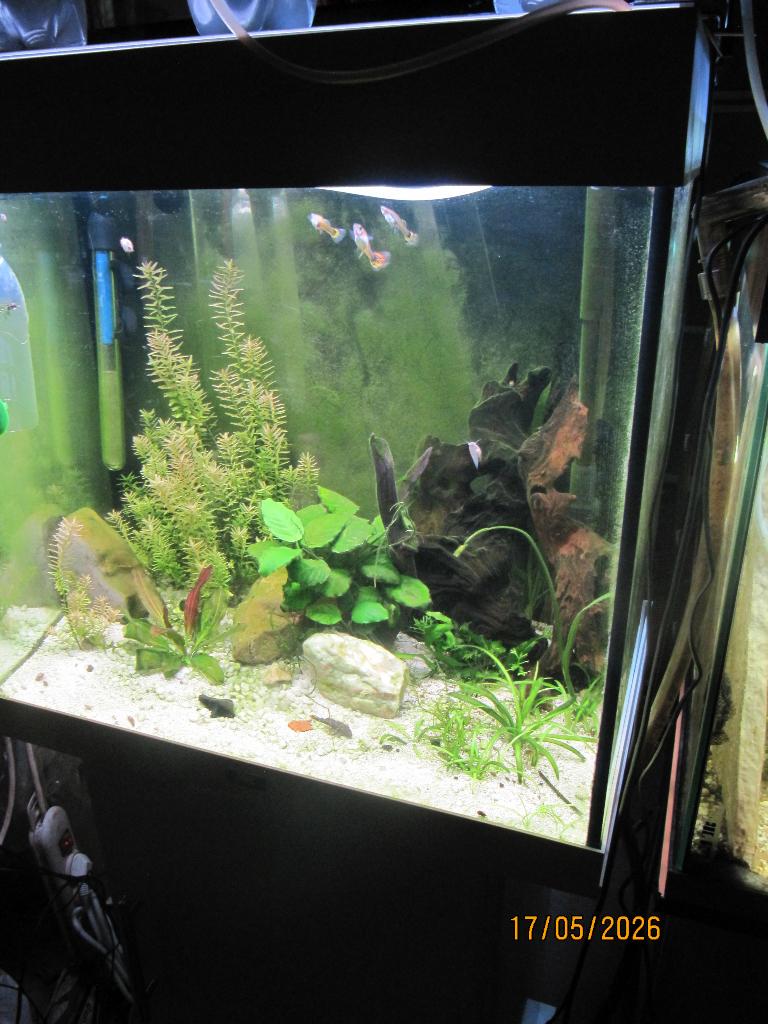 Mooi beplante juwel lido 120, Ophalen, Verwarming, Filter, Juwel