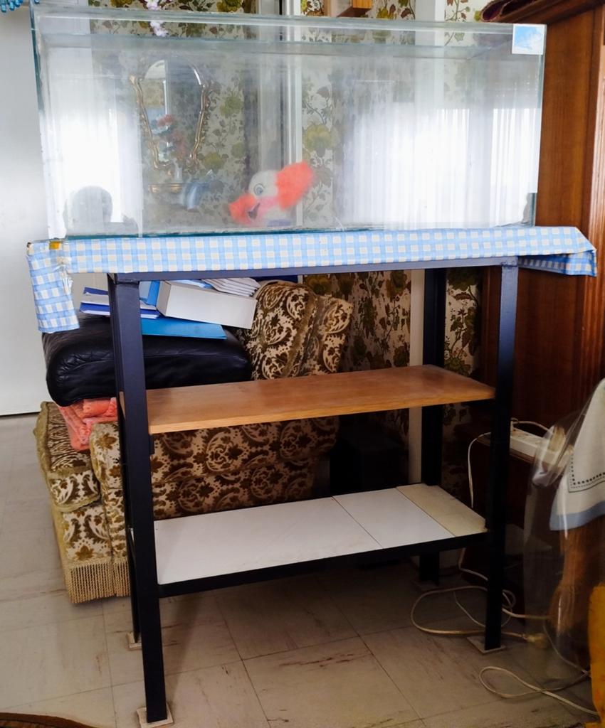 Aquarium complet, Enlèvement, Utilisé