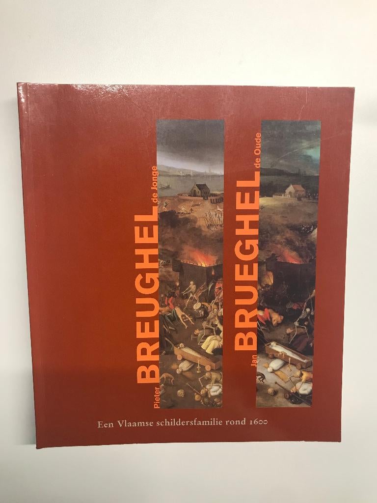 Boek Pieter Breughel de Jonge / Jan Brueghel de Oude, Ophalen of Verzenden, Zo goed als nieuw, Schilder- en Tekenkunst