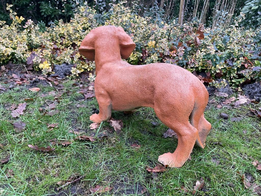 Beeld grote teckel, tekkel, hond, tuin, gazon 50 cm, Ophalen, Nieuw, Kunststof, Dierenbeeld