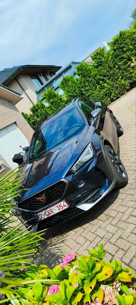 Cupra formentor, Autos, Cupra, Formentor, Noir, 5 portes, 5 places
