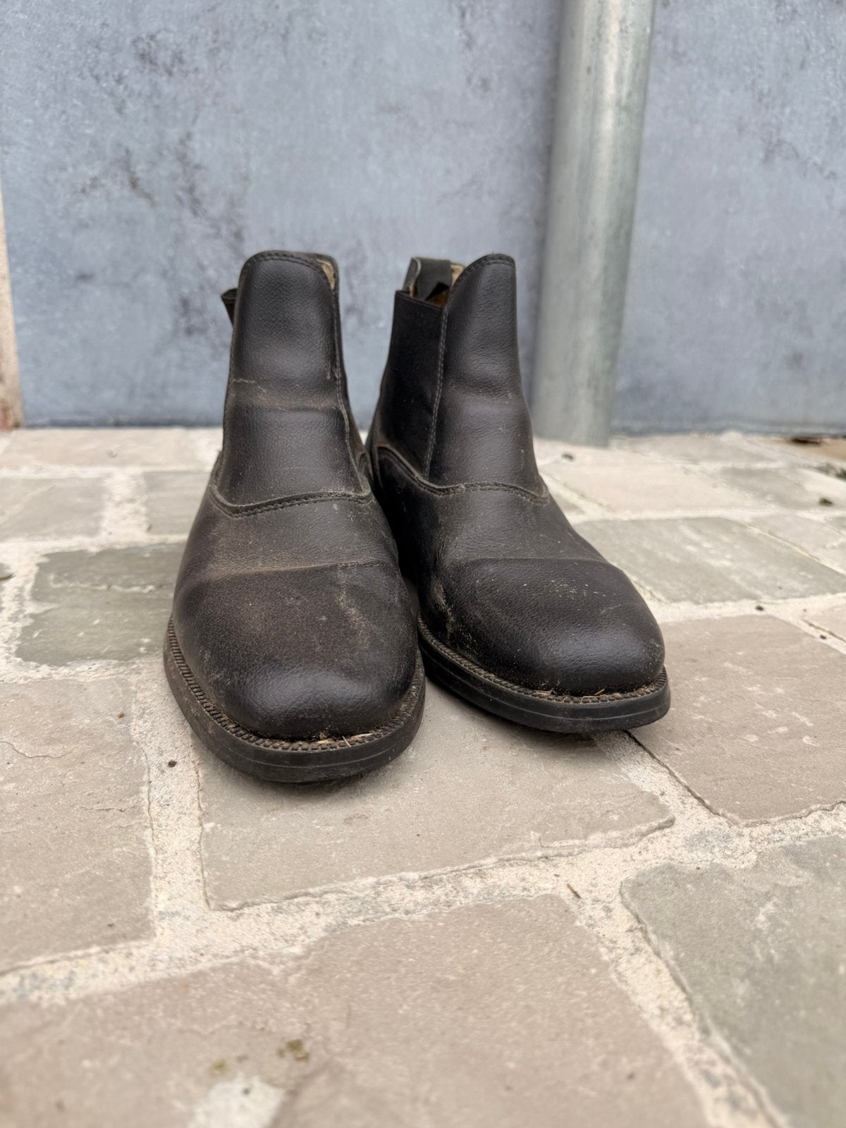 Korte rijbotjes, Animaux & Accessoires, Vêtements d'équitation, Enlèvement, Comme neuf