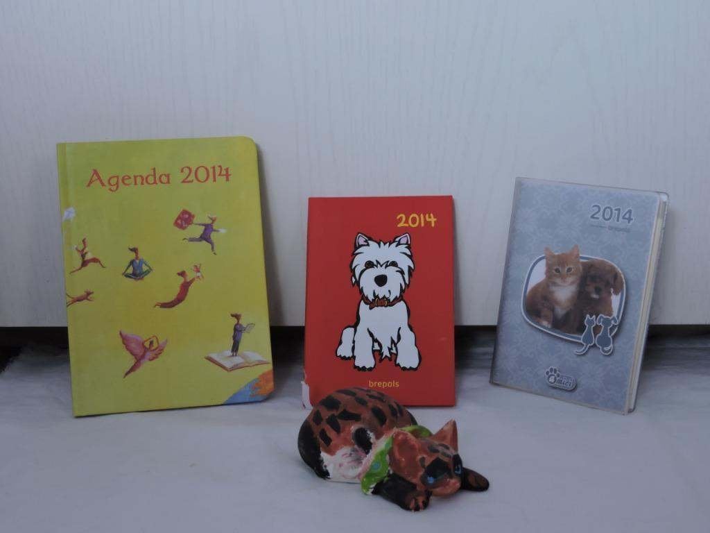 Agendas 2014 NEUFS Chien ; chiot et chaton ou avec proverbes, Divers, Enlèvement ou Envoi, Neuf