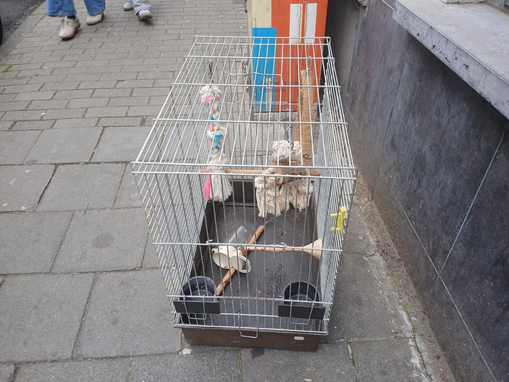 Cage oiseaux, Enlèvement, Cage