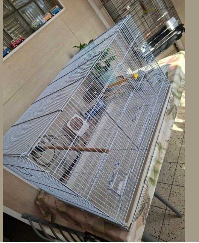 cage oiseaux vendre ou echange, Enlèvement