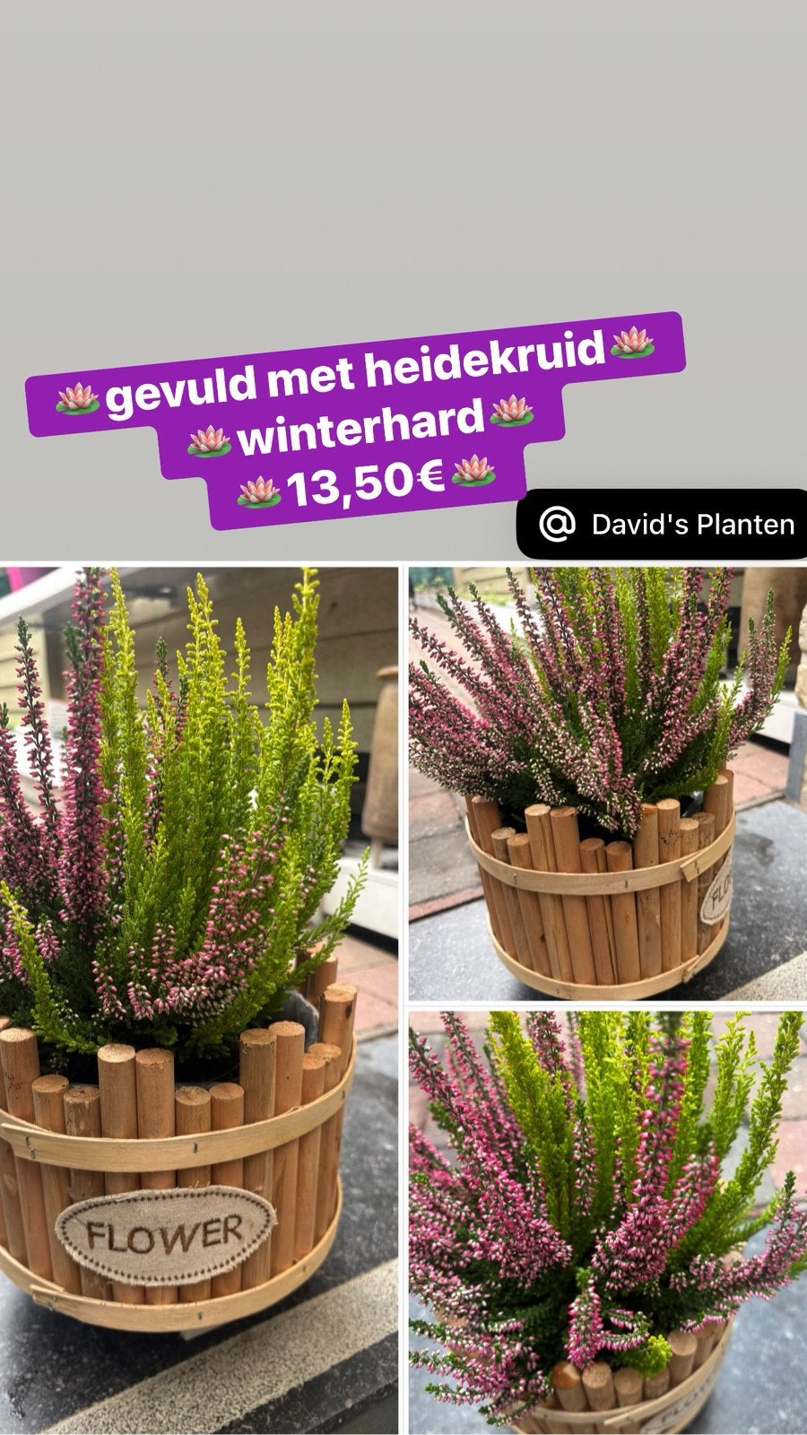 Assortiment, Ophalen, Zo goed als nieuw