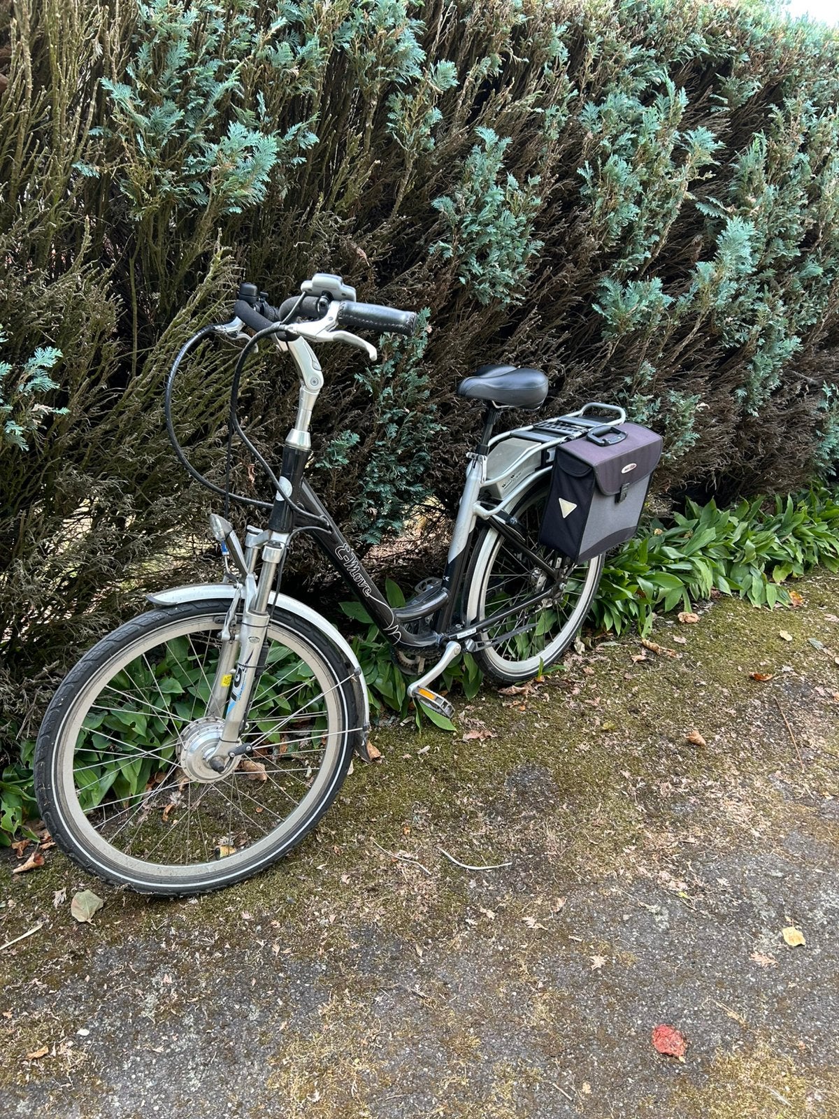 Elektrische fiets met lage instap, Fietsen en Brommers, Ophalen, Gebruikt, Overige merken