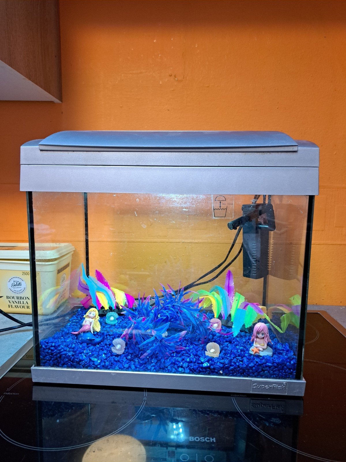 Petit aquarium complet 35/30//22, Animaux & Accessoires, Enlèvement, Pompe, Utilisé, Éclairage ou Chauffage