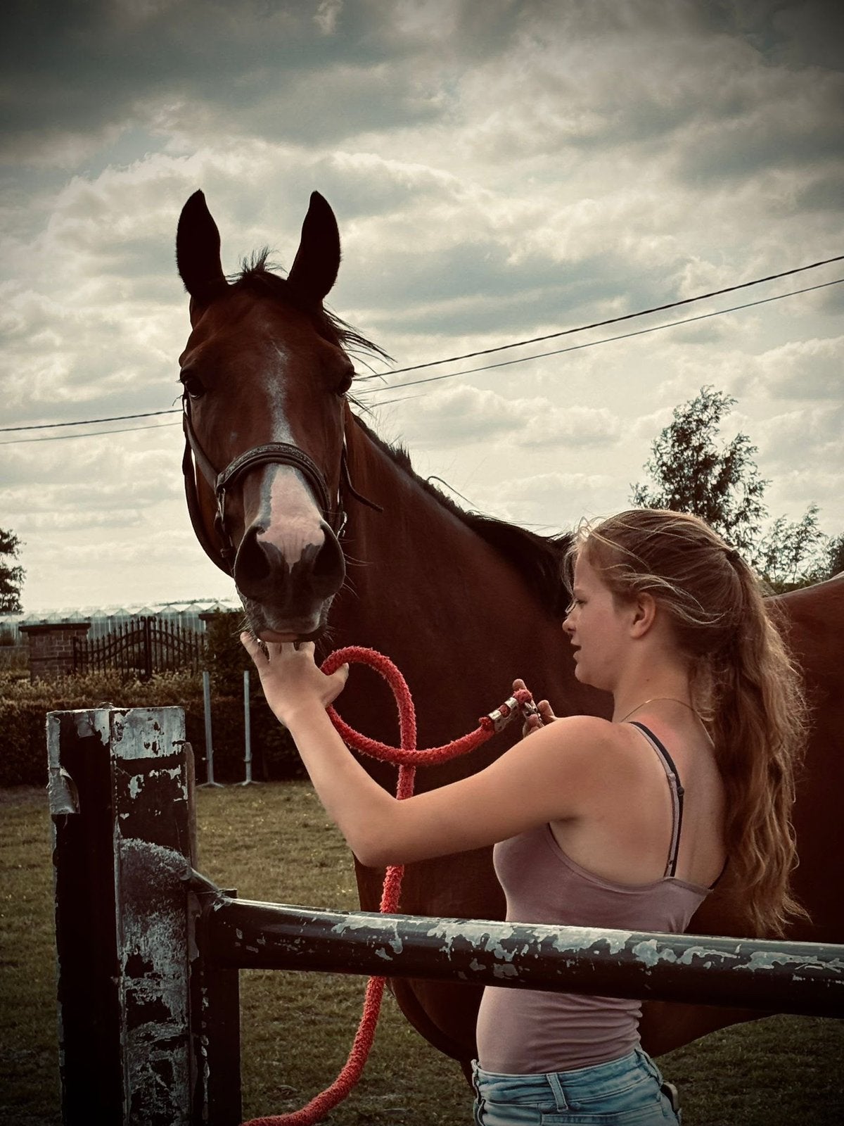 mooi rijpaard te koop!, Débourré, 160 à 165 cm, Cheval de récréation, Jument