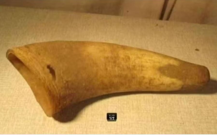 Mooie Antieke Hoorn van een dier - 25cm, Ophalen of Verzenden, Gebruikt, Hert