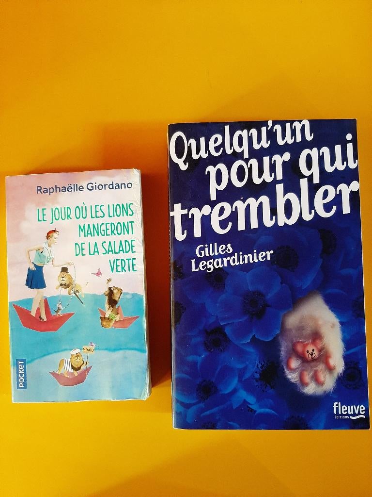 1 titre de R. Giordano et 1 de G. Legardinier   Le lot 4 €, Livres, Enlèvement ou Envoi, Raphaëlle Giordano