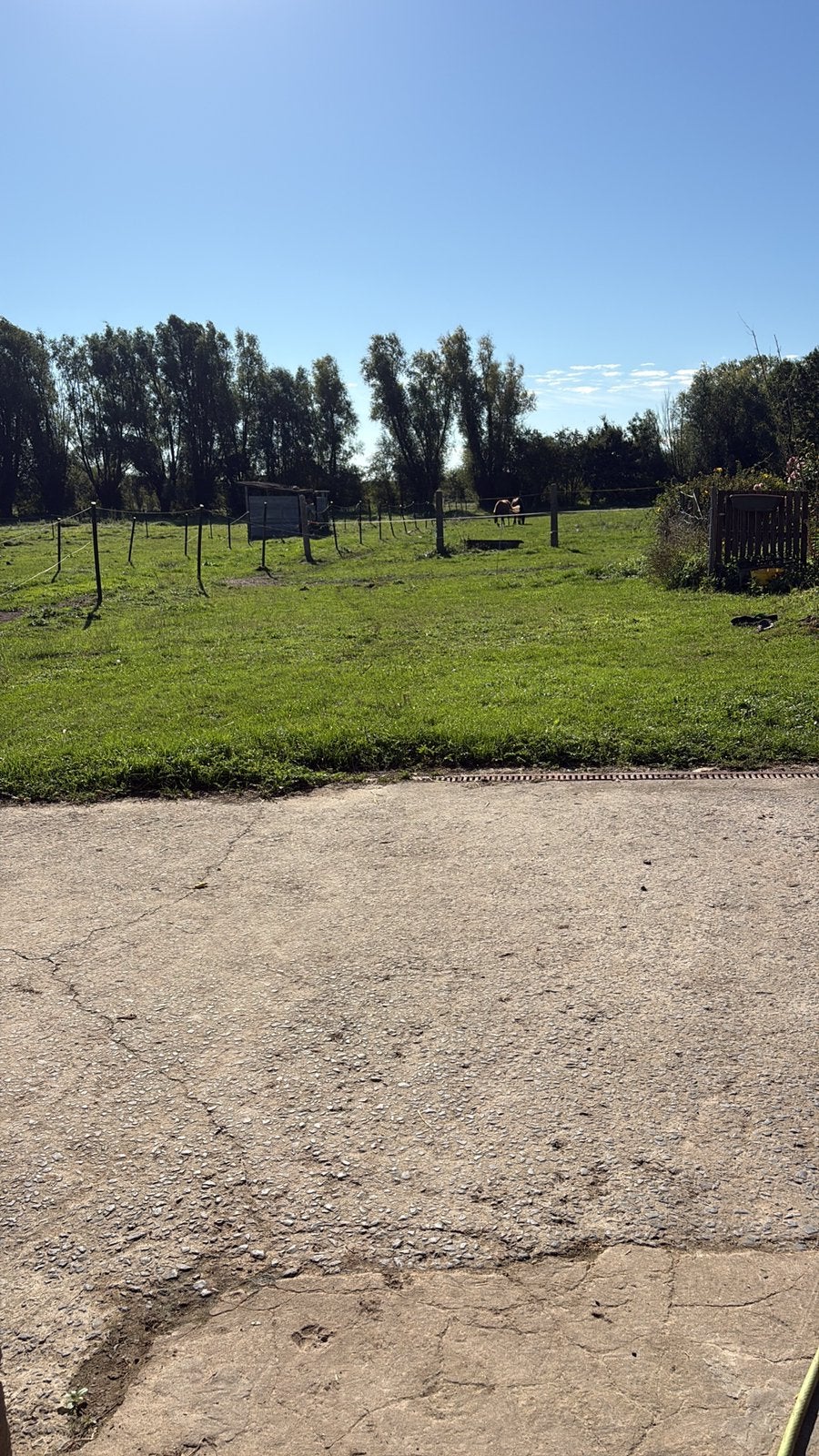 Box a louer, Pâturage, 2 ou 3 chevaux ou poneys