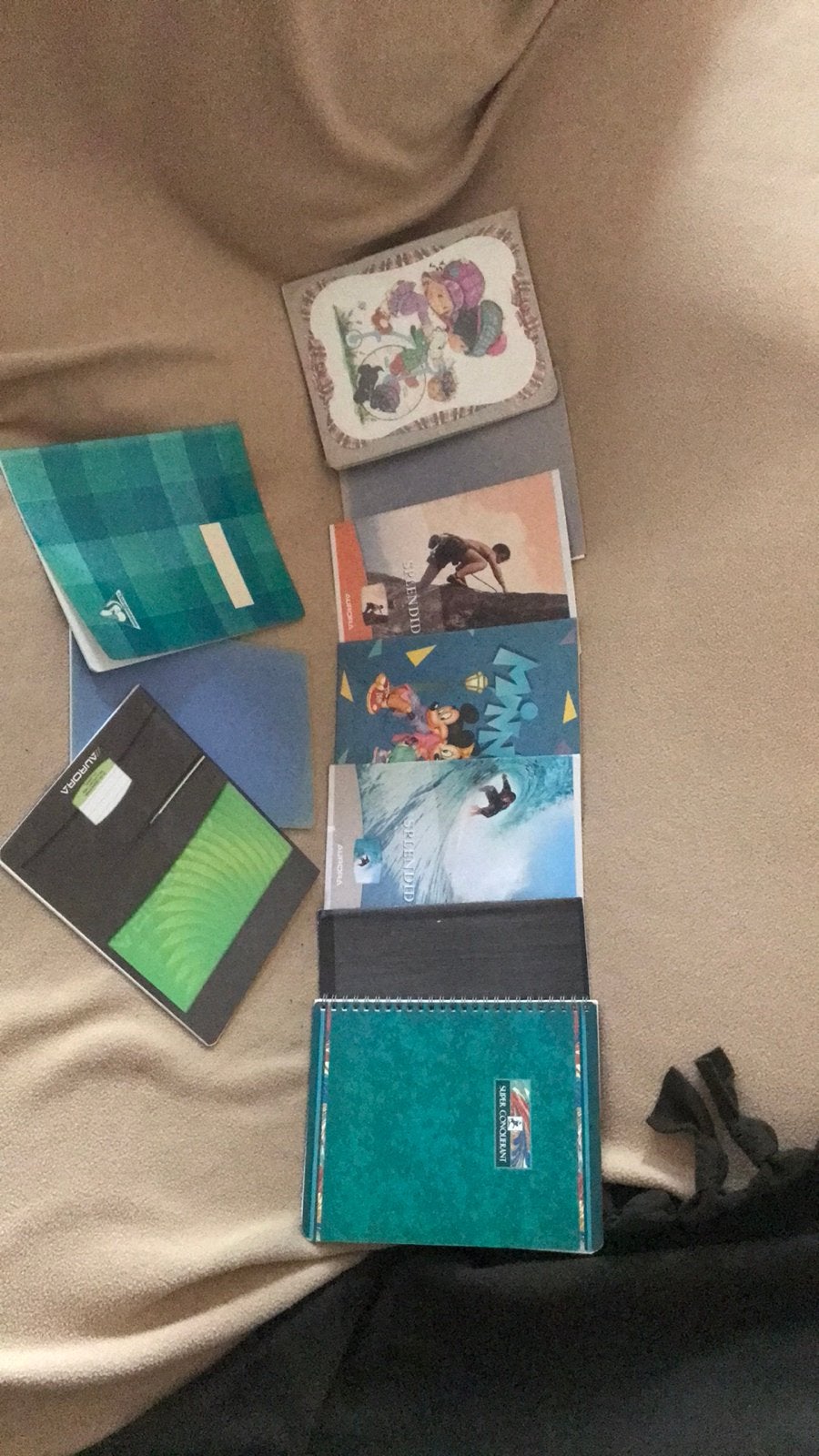 10 petits cahiers variés, Comme neuf