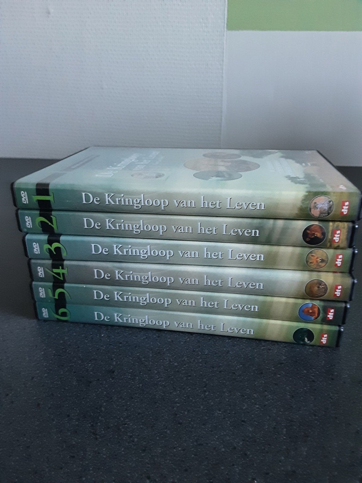 DVD'S, Enlèvement