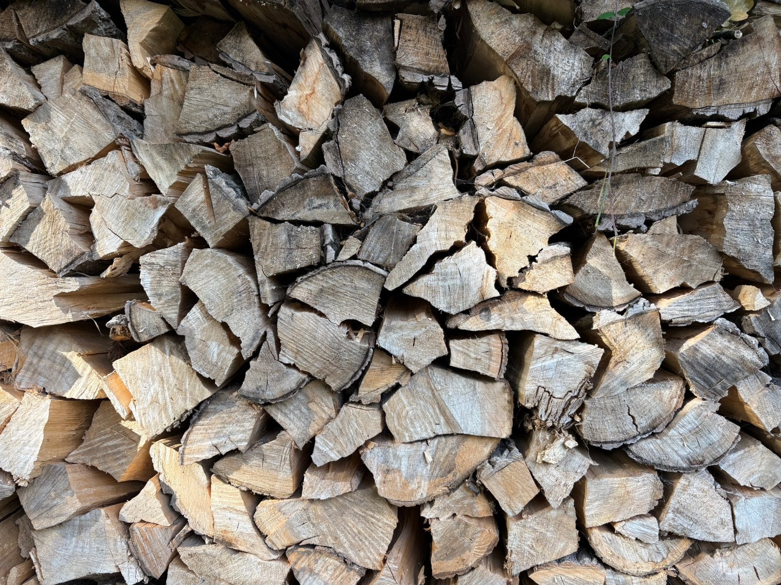 Brandhout (populier), Enlèvement, Autres essences de bois, Bûches