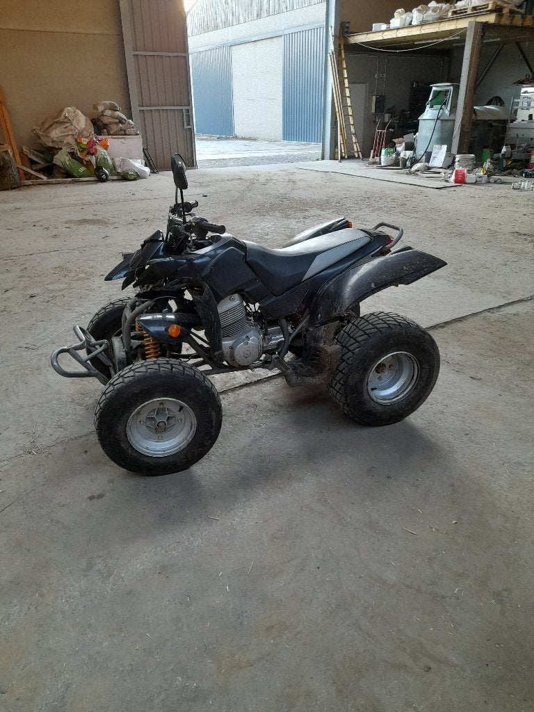 Quad, Motos, 2 cylindres, 12 à 35 kW, 250 cm³