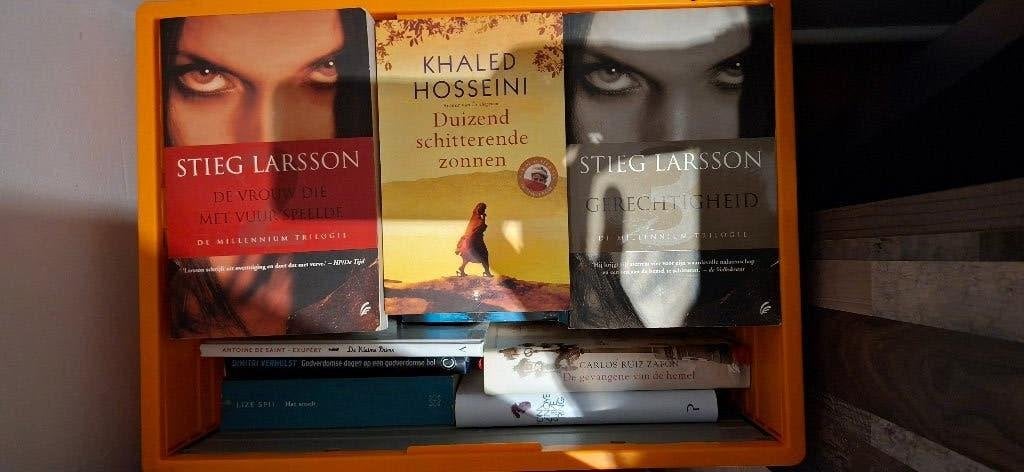 Verzameling van 50 romans, Ophalen, Gelezen