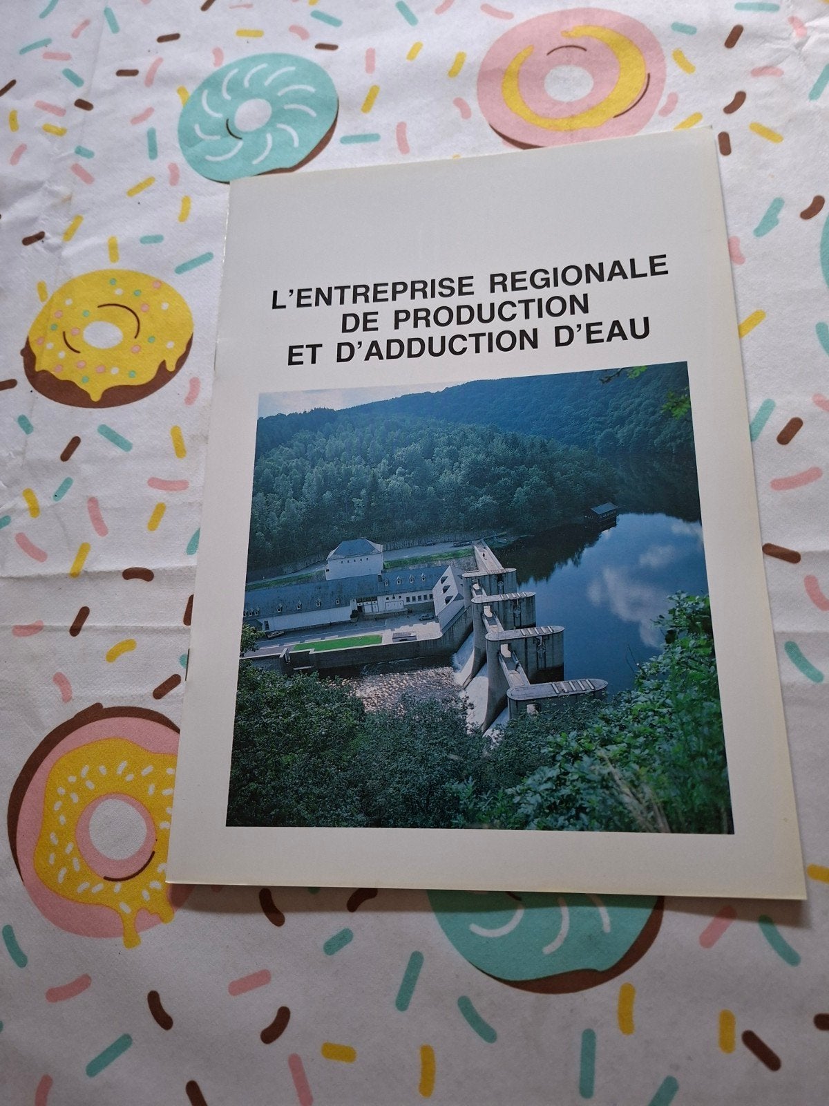 L'entreprise régionale de production et d'adduction d'eau., Collections, Revues, Journaux & Coupures, Enlèvement ou Envoi