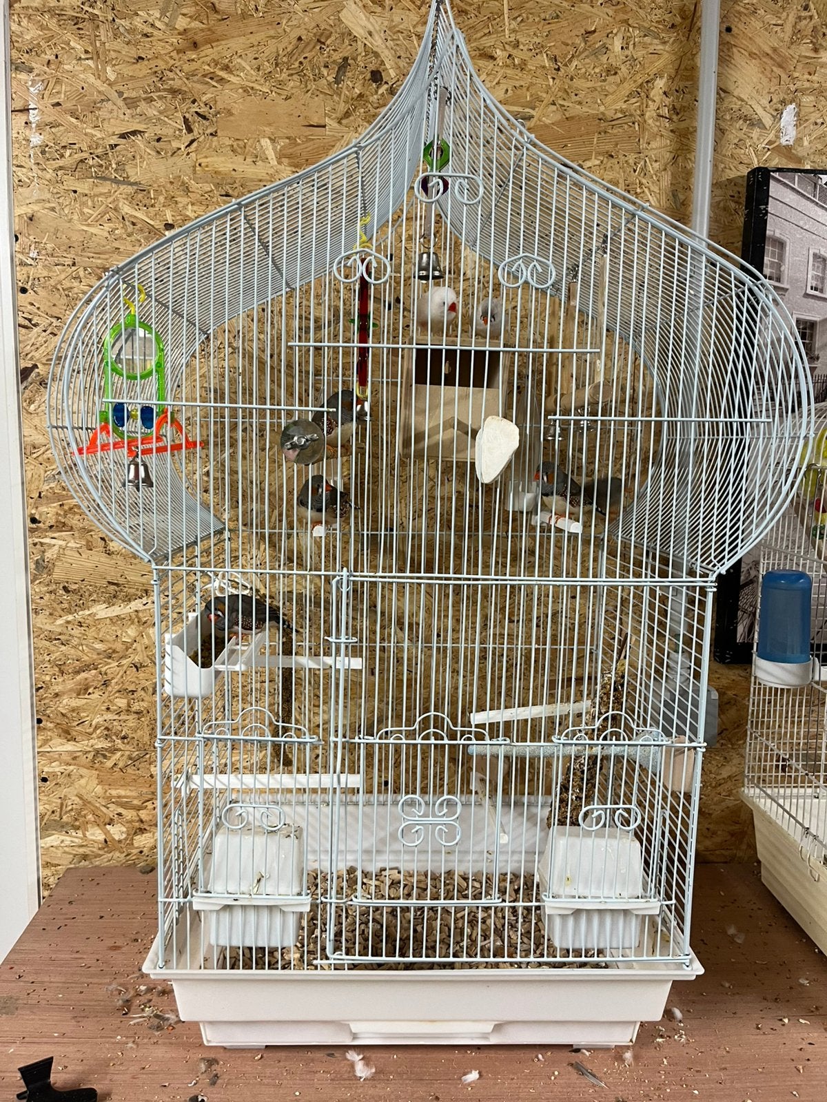 Witte vogelkooi, Ophalen of Verzenden, Zo goed als nieuw, Vogelkooi