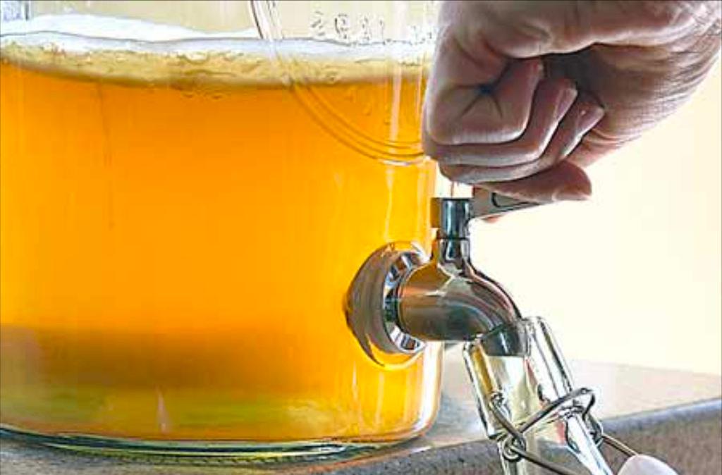 KEFIR Eau, kéfir, kéfir, champagne, Divers, Produits alimentaires, Enlèvement