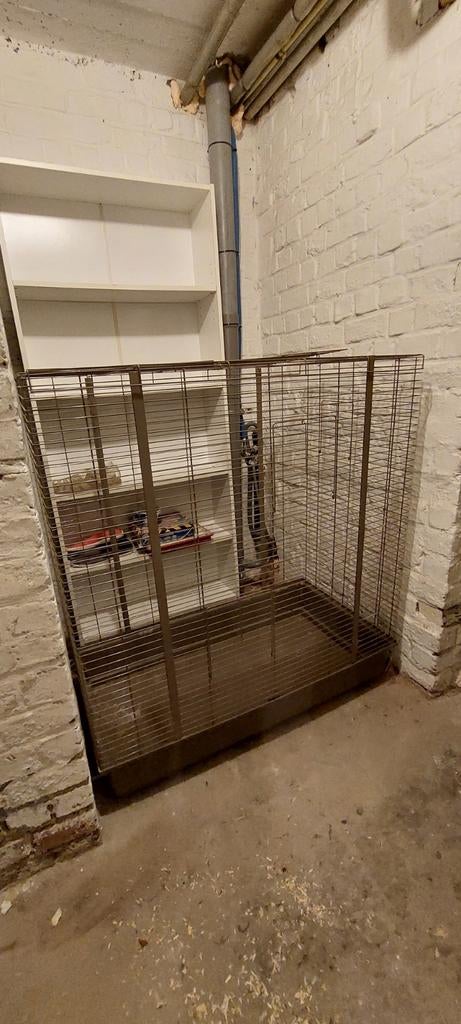 Cage rongeurs/ furets, Cage, Chinchilla