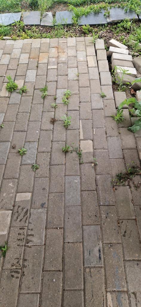 Gratis Betonklinkers, Enlèvement