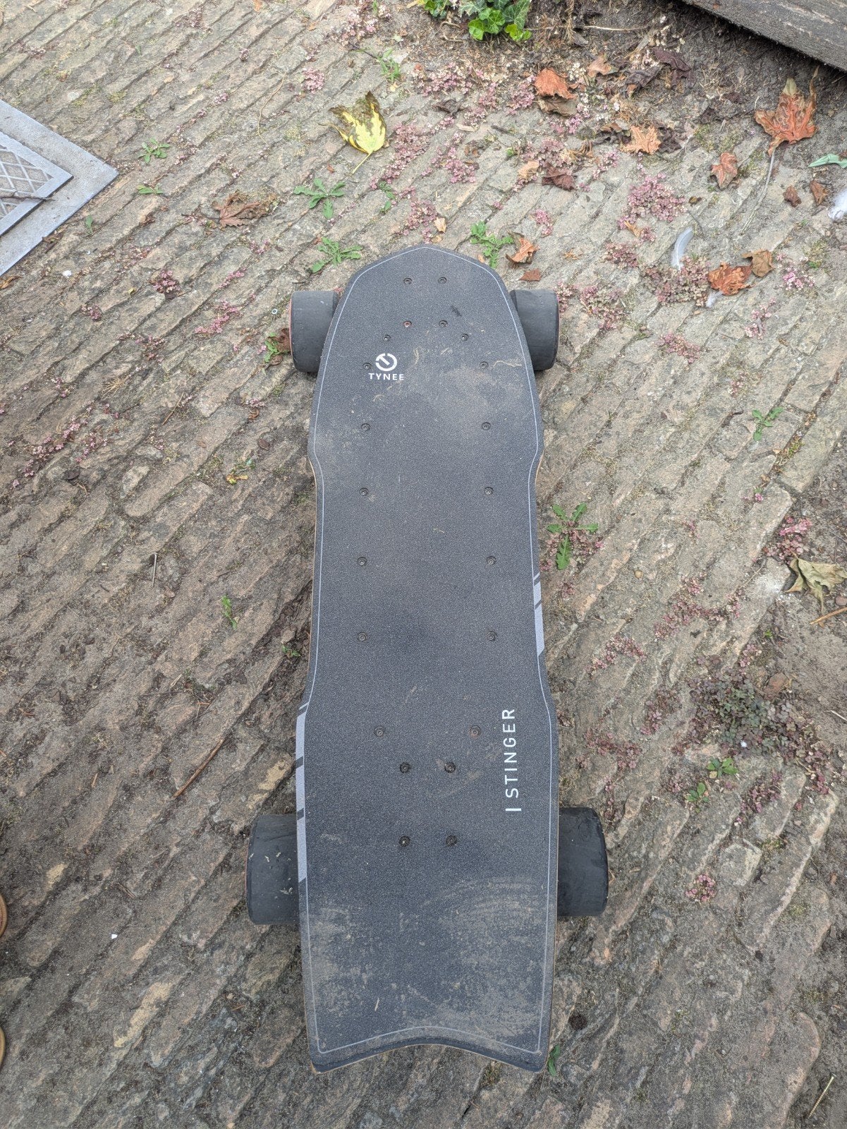 Tynee Stinger elektrisch skateboard, Sports & Fitness, Skateboard, Enlèvement, Skateboard