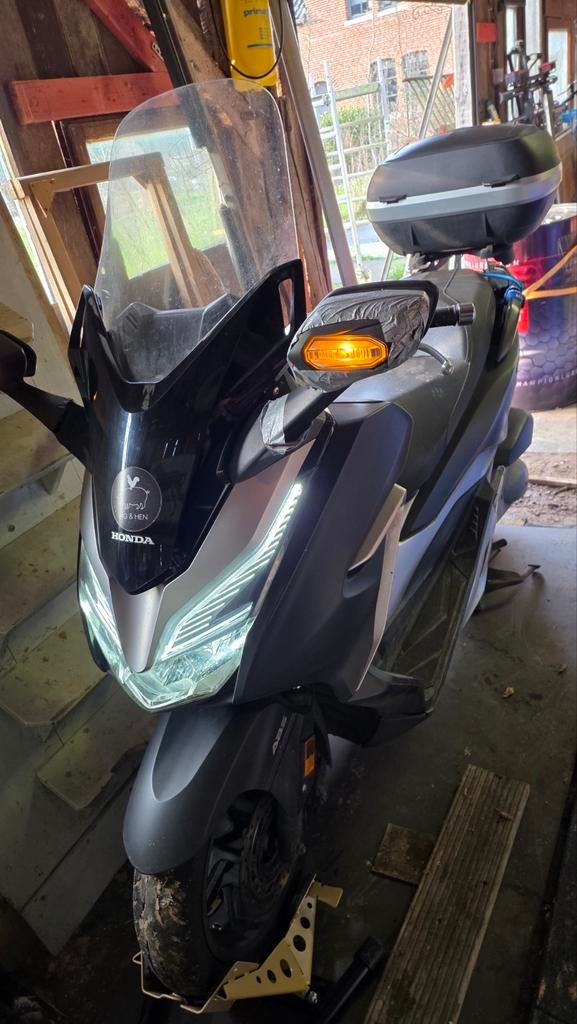 Honda Forza  300, Particulier