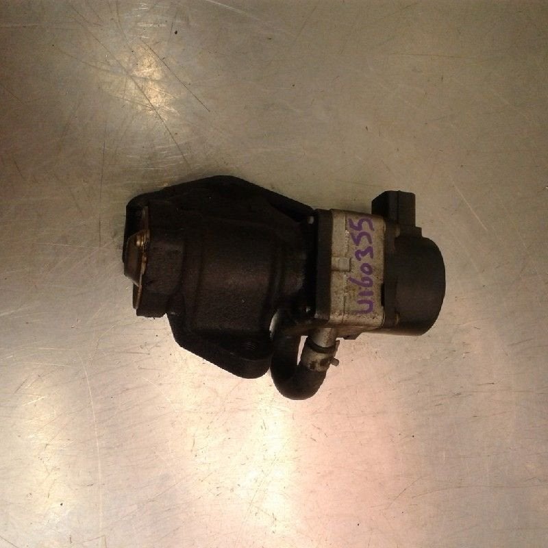 EGR KLEP Nissan Almera Tino (V10M) (01-2000/02-2006), Gebruikt, Nissan