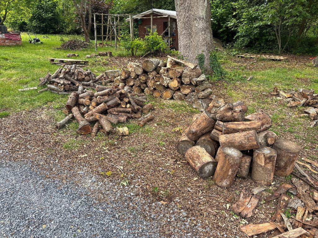 Bois de Chauffage, 3 à 6 m³, Enlèvement, Chêne, Bûches