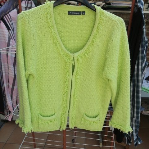Gileetje geelgroen Terre Bleue mt 42, Kleding | Dames, Terre Bleue, Geel, Maat 42/44 (L), Nieuw