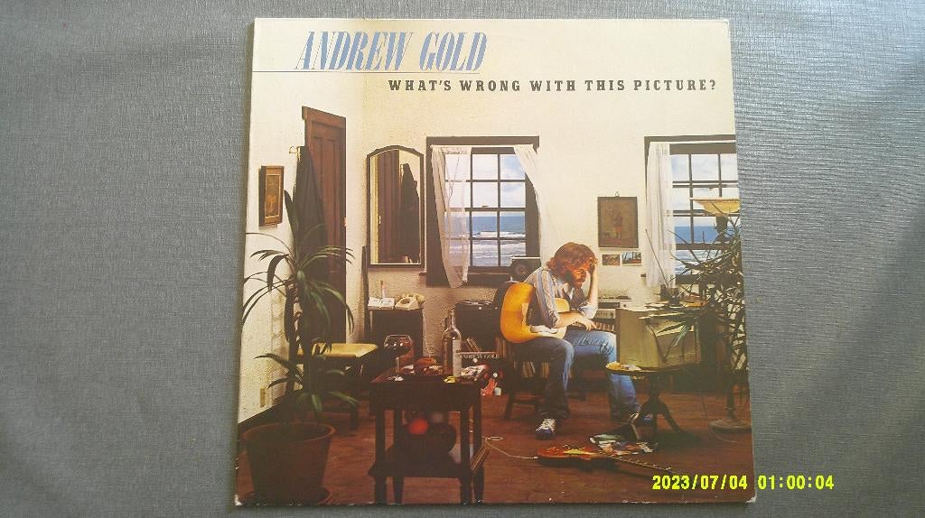Andrew Gold – What's wrong with this picture? (LP), Ophalen of Verzenden, Gebruikt