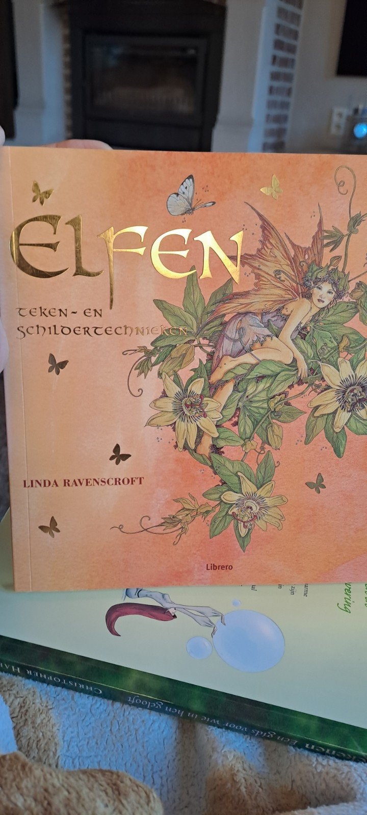 elfes du livre dessinant et peignant, Enlèvement ou Envoi, Neuf, Livre ou Guide