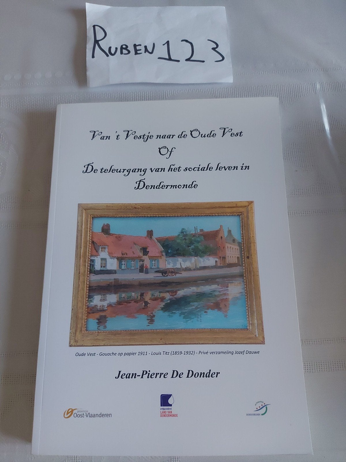 De teleurgang van het sociale leven in Dendermonde, Boeken, Geschiedenis | Stad en Regio, Ophalen of Verzenden