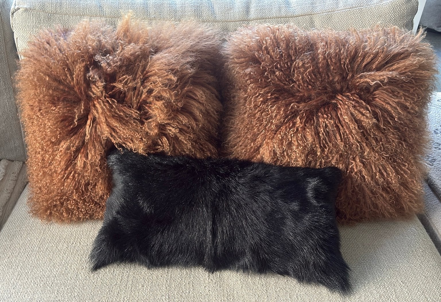 Coussins (lot de 3), Coussin décoratif, Housse amovible, Comme neuf, Enlèvement