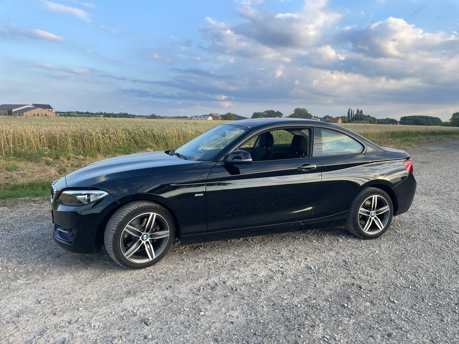 BMW 220i coupe, Auto's, 4 zetels, 4 cilinders, 2 Reeks, Zwart