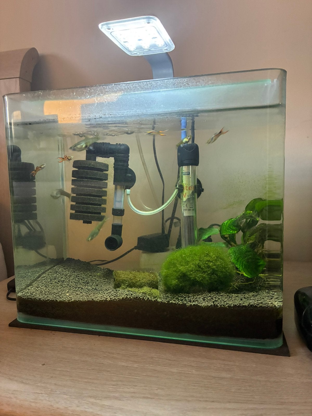 Aquarium te koop, Ophalen, Gebruikt, Overige typen
