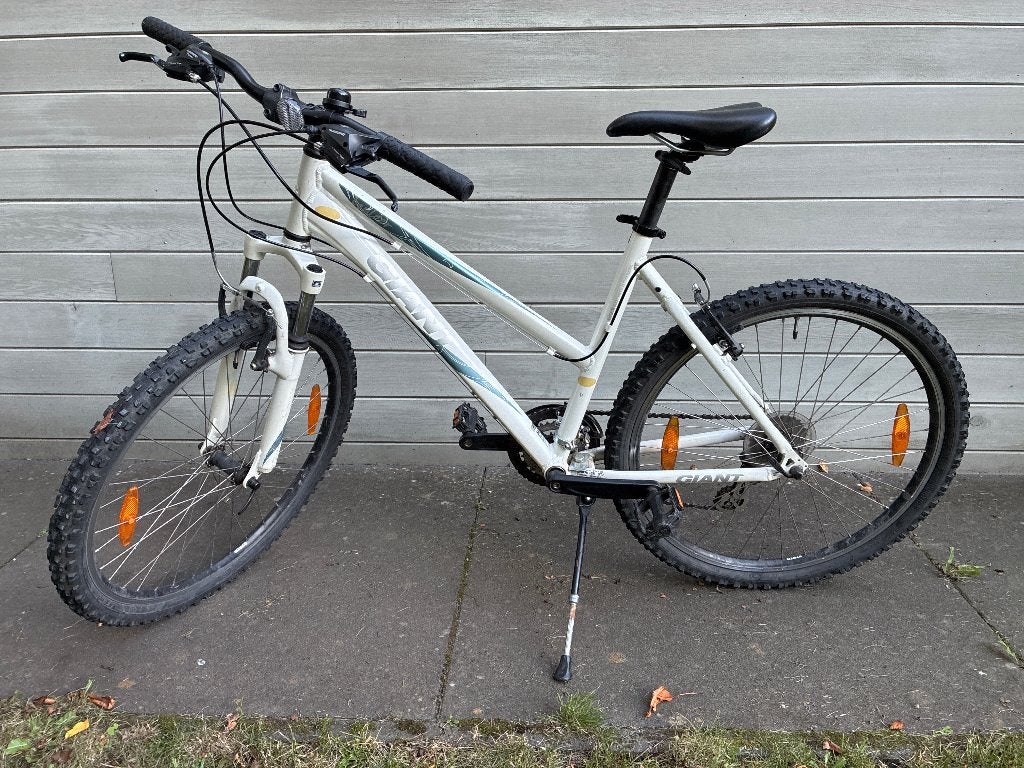 Géant du vélo de montagne, Vélos & Vélomoteurs, Frein sur jante, 45 à 49 cm, Femmes, Giant