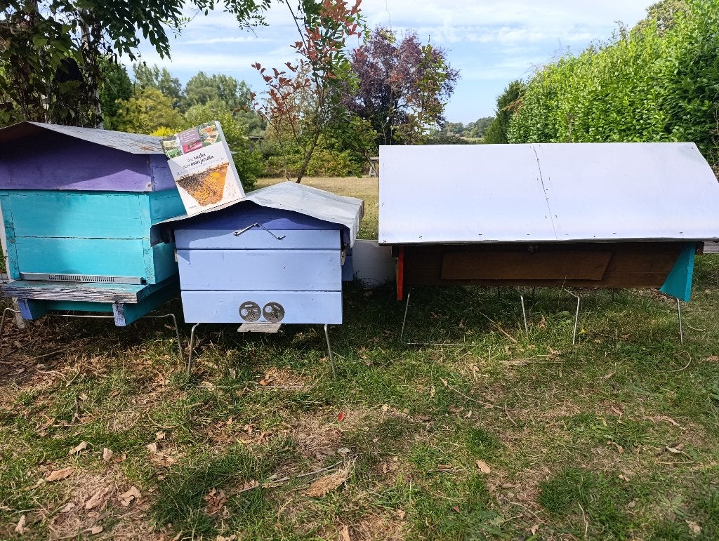 LOT 3 RUCHES POUR APICULTURE NATURELLE, Enlèvement, Utilisé