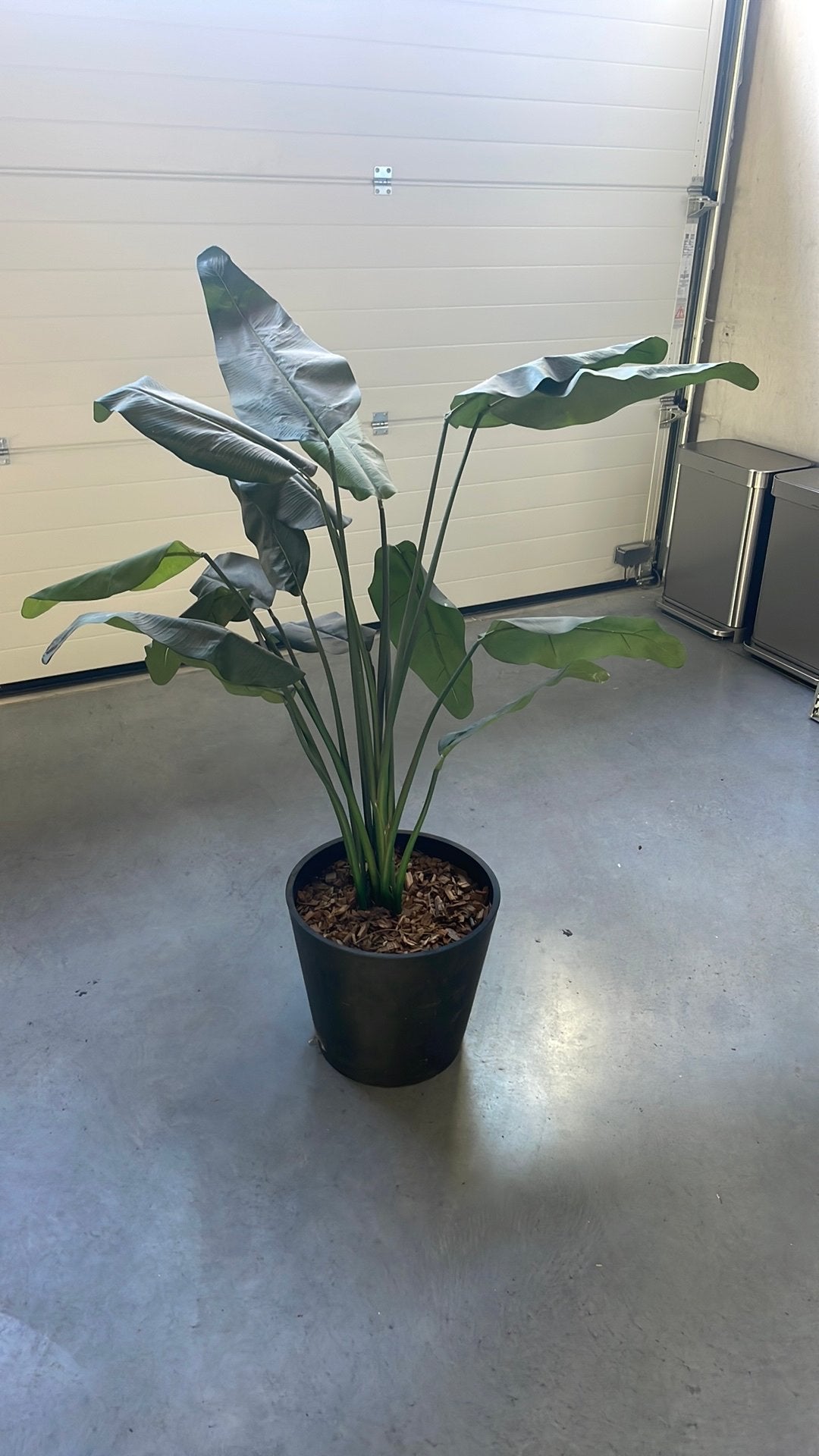 Kunstplant Strelitzia Nicolai + ecopot, Huis en Inrichting, Woonaccessoires | Kunstplanten en Kunstbloemen, Ophalen, Zo goed als nieuw